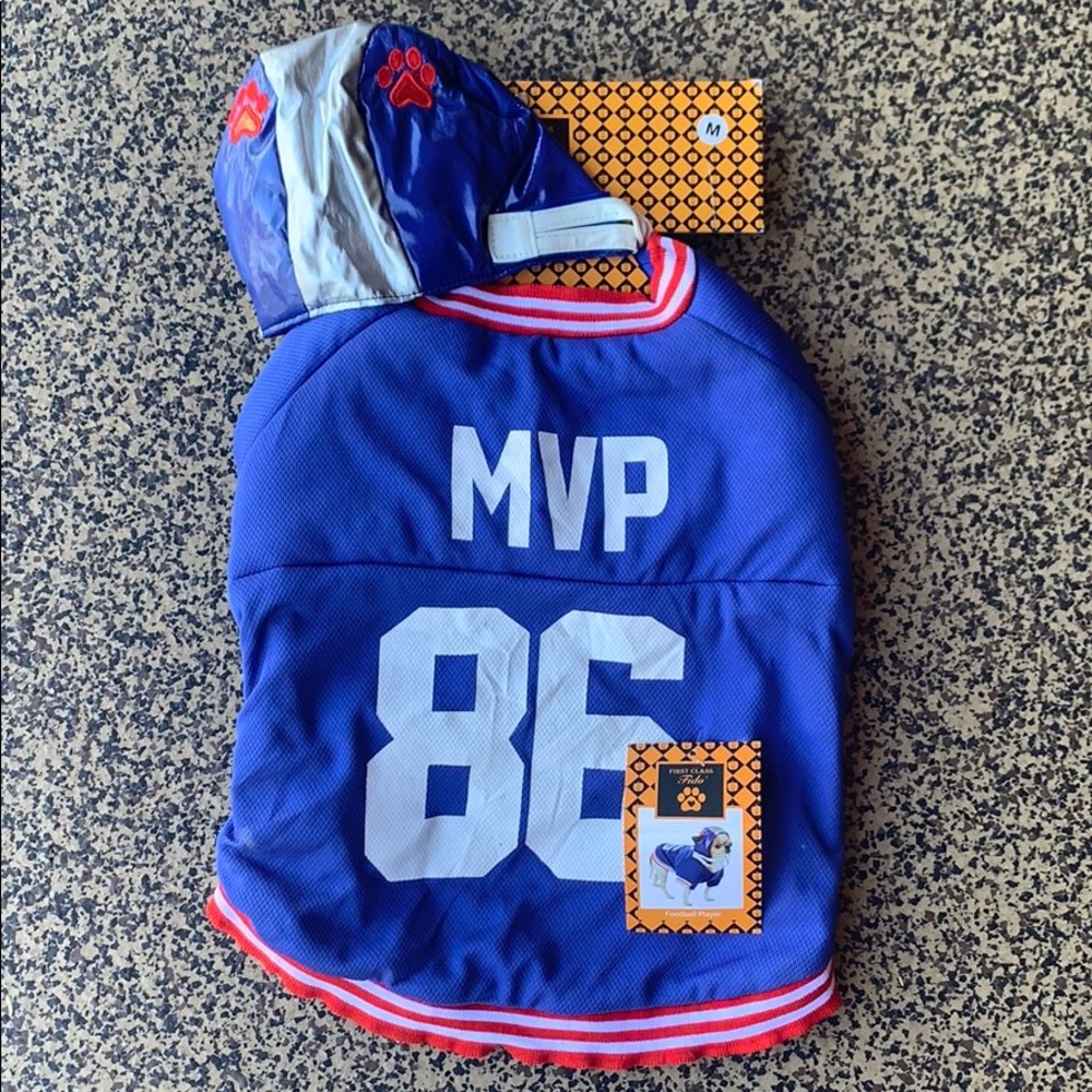 🆕 Dog / pet halloween costume